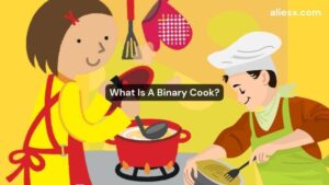 What Is A Binary Cook?